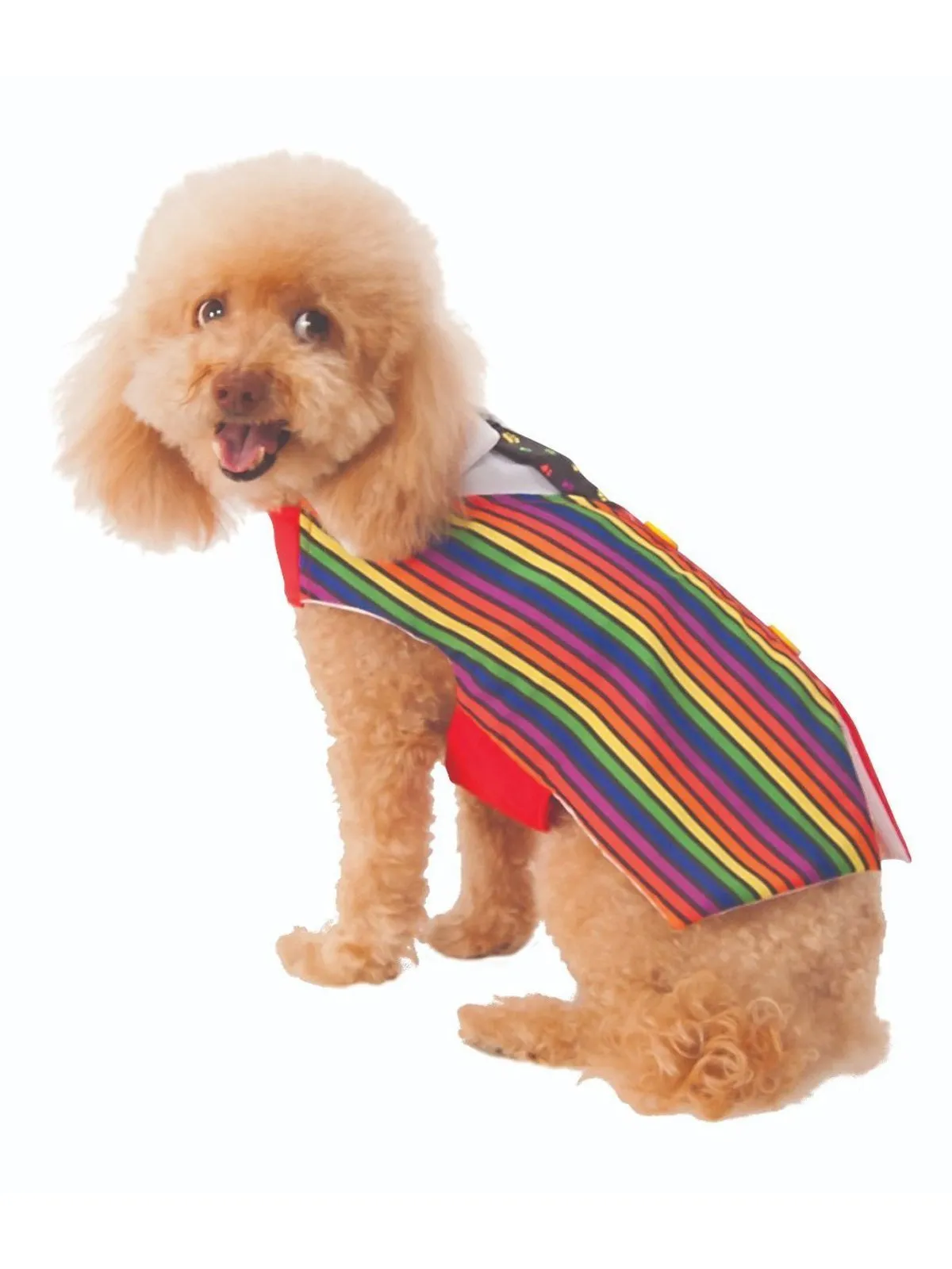 Barkday Vest Pet Costume