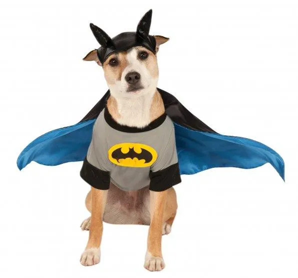 Batman Deluxe Pet Costume - Buy Online Only