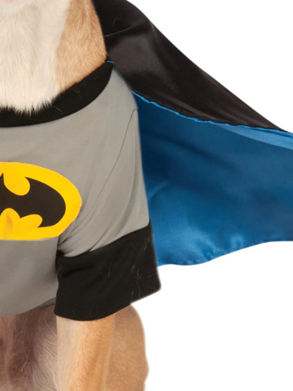 Batman Deluxe Pet Costume - Buy Online Only