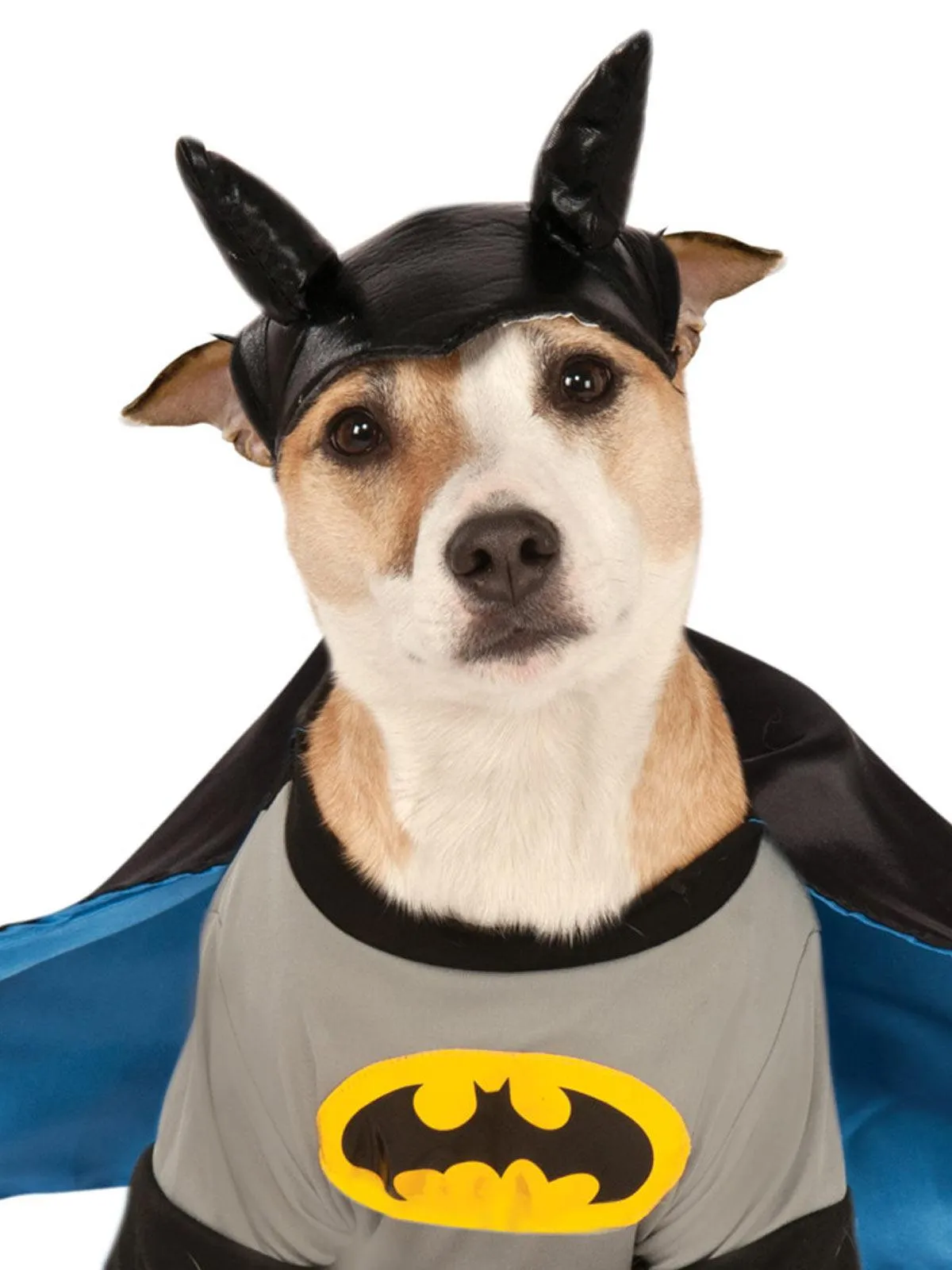 Batman Deluxe Pet Costume - Buy Online Only