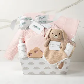 Bundle of Joy Baby Gift Basket in Pink