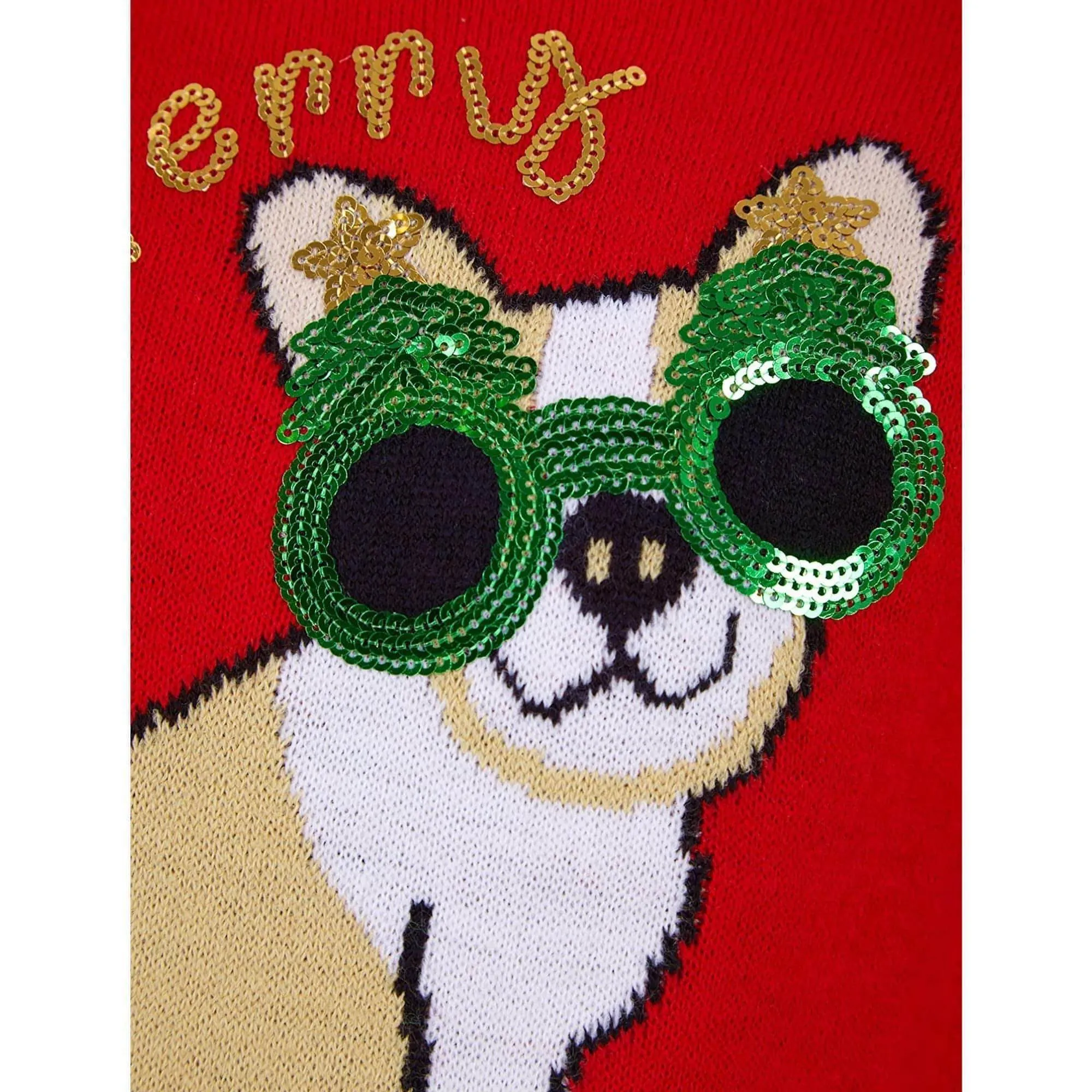 Christmas Glasses Dog Junior Christmas Jumper - Red