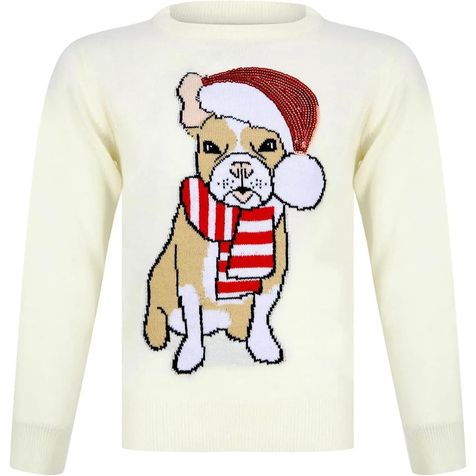 Christmas Santa Dog Junior Christmas Jumper - Cream