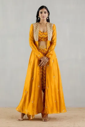 Mustard Embellished Organza Cape With Bralette And Cowl Pants